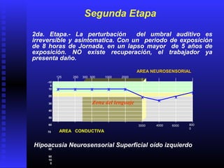 125 250 500 1000 2000
4000 800
0
3000 6000
-10
0
10
20
30
40
50
60
70
80
90
10
0
AREA CONDUCTIVA
AREA NEUROSENSORIAL
Segunda Etapa
2da. Etapa.- La perturbación del umbral auditivo es
irreversible y asintomatica. Con un periodo de exposición
de 8 horas de Jornada, en un lapso mayor de 5 años de
exposición. NO existe recuperación, el trabajador ya
presenta daño.
X X X X X
X
X
X
X
300
Zona del lenguaje
Hipoacusia Neurosensorial Superficial oído izquierdo
 