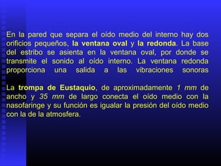 En la pared que separa el oído medio del interno hay dos
orificios pequeños, la ventana oval y la redonda. La base
del estribo se asienta en la ventana oval, por donde se
transmite el sonido al oído interno. La ventana redonda
proporciona una salida a las vibraciones sonoras
La trompa de Eustaquio, de aproximadamente 1 mm de
ancho y 35 mm de largo conecta el oído medio con la
nasofaringe y su función es igualar la presión del oído medio
con la de la atmosfera.
 