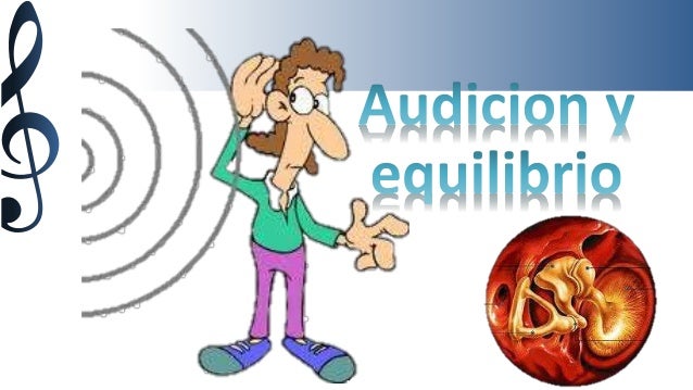 Audicion Y Equilibrio audicion y equilibrio Audicion Y Equilibrio audicion y equilibrio