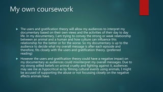 My own coursework
 The users and gratification theory will allow my audiences to interpret my
documentary based on their own views and the activities of their day to day
life. In my documentary, I am trying to convey the strong or weak relationship
between an animal and a human and how culture can influence this
relationship for the better or for the worse. So my documentary is up to the
audience to decide what my overall message is after each episode and
therefore, fits closely with the users and gratification theory. (preferred
reading)
 However the users and gratification theory could have a negative impact on
my documentary as audiences could misinterpret my overall messages. Due to
my strong willed beliefs on animal cruelty and fighting against it, audiences
may see me as hypocritical as by filming cultural events using animals, I might
be accused of supporting the abuse or not focussing closely on the negative
affects animals have.
 