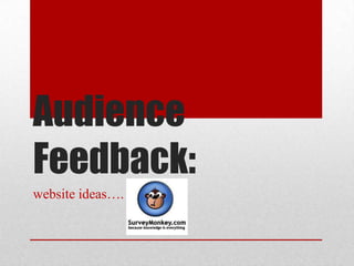 Audience
Feedback:
website ideas….
 