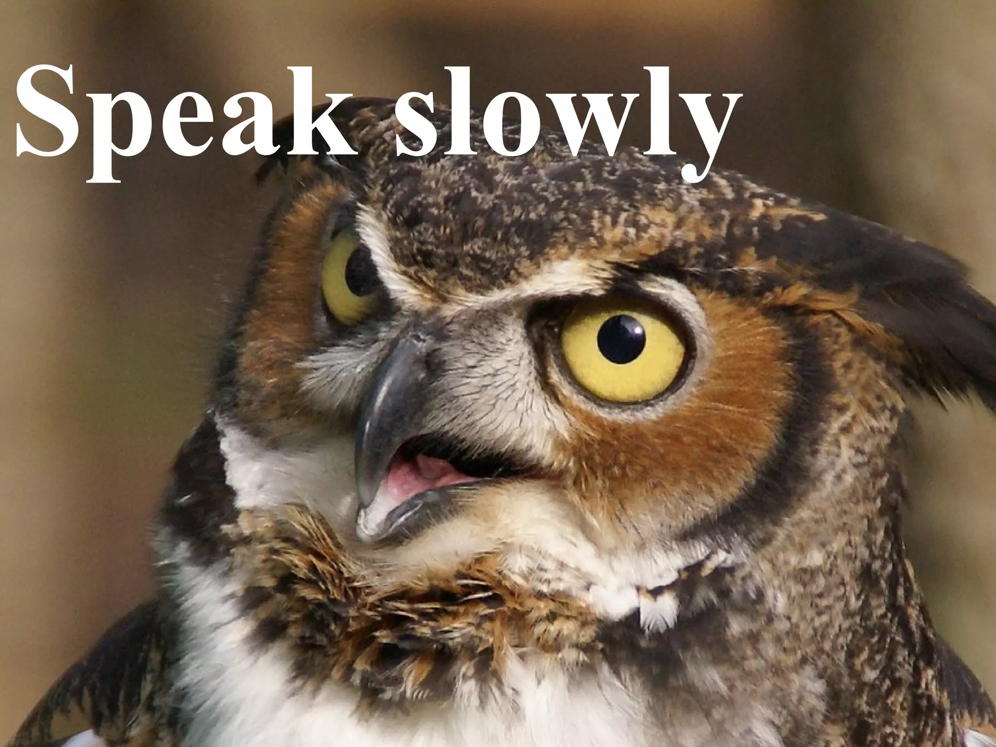 Speak slowly 
