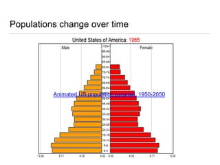 Populations change over time
Animated US population pyramid, 1950-2050
 