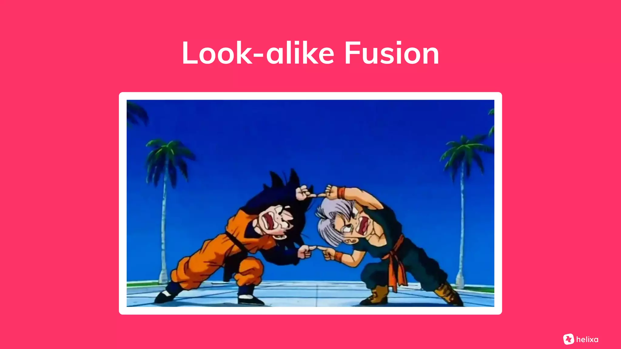 Look-alike Fusion
 