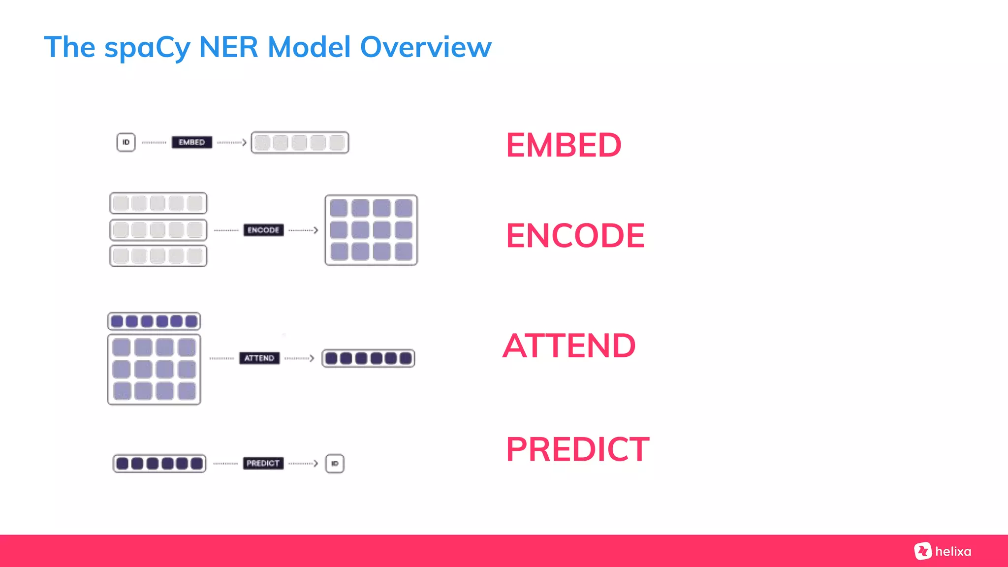 The spaCy NER Model Overview
EMBED
ENCODE
ATTEND
PREDICT
 