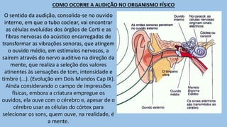 O sentido da audição, consolida-se no ouvido
interno, em que o tubo coclear, vai encontrar
as células evoluídas dos órgãos de Corti e as
fibras nervosas do acústico encarregadas de
transformar as vibrações sonoras, que atingem
o ouvido médio, em estímulos nervosos, a
saírem através do nervo auditivo na direção da
mente, que realiza a seleção dos valores
atinentes às sensações de tom, intensidade e
timbre (...). (Evolução em Dois Mundos Cap IX).
Ainda considerando o campo de impressões
físicas, embora a criatura empregue os
ouvidos, ela ouve com o cérebro e, apesar de o
cérebro usar as células do córtex para
selecionar os sons, quem ouve, na realidade, é
a mente.
COMO OCORRE A AUDIÇÃO NO ORGANISMO FÍSICO
 