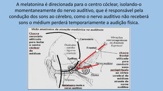 A melatonina é direcionada para o centro cóclear, isolando-o
momentaneamente do nervo auditivo, que é responsável pela
condução dos sons ao cérebro, como o nervo auditivo não receberá
sons o médium perderá temporariamente a audição física.
 