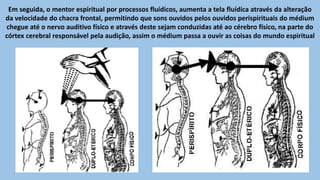 Em seguida, o mentor espiritual por processos fluídicos, aumenta a tela fluídica através da alteração
da velocidade do chacra frontal, permitindo que sons ouvidos pelos ouvidos perispirituais do médium
chegue até o nervo auditivo físico e através deste sejam conduzidas até ao cérebro físico, na parte do
córtex cerebral responsável pela audição, assim o médium passa a ouvir as coisas do mundo espiritual
 