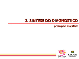 1. SINTESE DO DIAGNOSTICO
             principais questões
 
