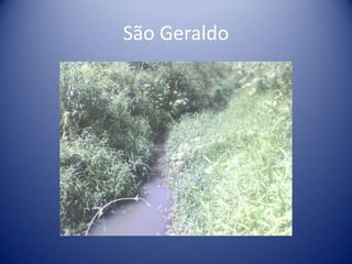 São Geraldo
 