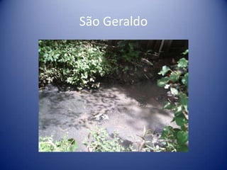 São Geraldo
 