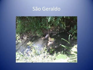 São Geraldo
 