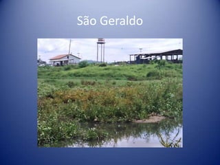 São Geraldo
 