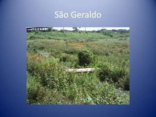 São Geraldo
 