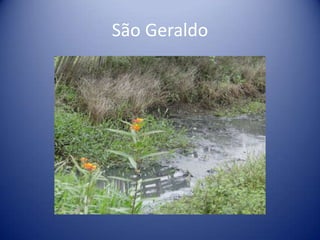 São Geraldo
 