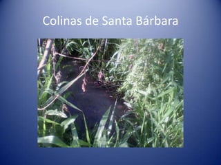 Colinas de Santa Bárbara
 