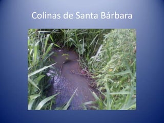 Colinas de Santa Bárbara
 