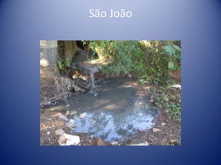 São João
 