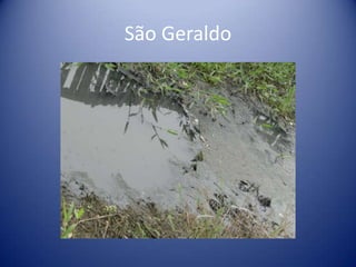 São Geraldo
 