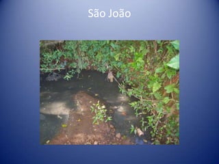 São João
 