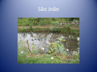 São João
 