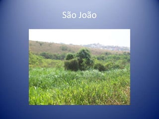 São João
 