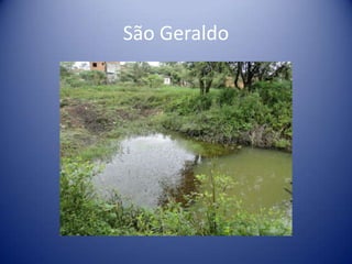 São Geraldo
 