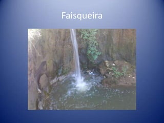 Faisqueira
 