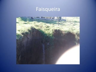 Faisqueira
 
