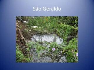 São Geraldo
 