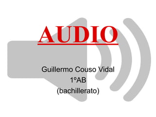 AUDIO
Guillermo Couso Vidal
         1ºAB
     (bachillerato)
 