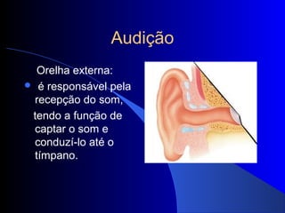 Audição
  Orelha externa:
 é responsável pela
 recepção do som,
 tendo a função de
 captar o som e
 conduzí-lo até o
 tímpano.
 