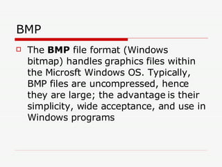 BMP The  BMP  file format (Windows bitmap) handles graphics files within the Microsft Windows OS. Typically, BMP files are uncompressed, hence they are large; the advantage is their simplicity, wide acceptance, and use in Windows programs  