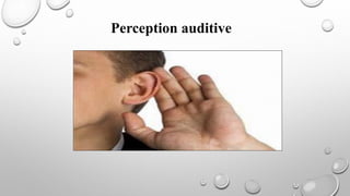 Perception auditive
 