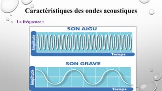Caractéristiques des ondes acoustiques
o La fréquence :
 