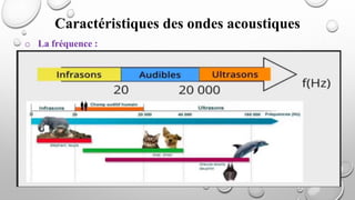 Caractéristiques des ondes acoustiques
o La fréquence :
 