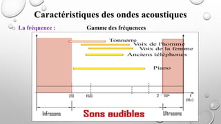 o La fréquence : Gamme des fréquences
Caractéristiques des ondes acoustiques
 