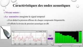 oNiveau sonore :
oLe sonomètre enregistre le signal temporel
oIl en déduit la pression efficace de chaque composante fréquentielle.
oIl affiche le niveau de pression acoustique en dB.
Caractéristiques des ondes acoustiques
TF
 