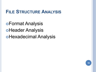 FILE STRUCTURE ANALYSIS
Format Analysis
Header Analysis
Hexadecimal Analysis
10
 