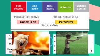 Transmisión Perceptiva
H. conductiva: 2daria a lesiones en el
conducto auditivo externo, la membrana
timpánica o el oído medio.
H. neurosensorial: Lesiones en oído
interno o nervio 8 como tumores.
H. mixta: Traumatismo craneoencefálico
grave T, Infección crónica o genética.
o Congénita o adquirida
o Progresiva o repentina
o Temporal o permanente
o Unilateral o bilateral
o Leve o profunda
• Otocerosis
• Ruido
• Envejecimiento
• Infecciones (niños)
 