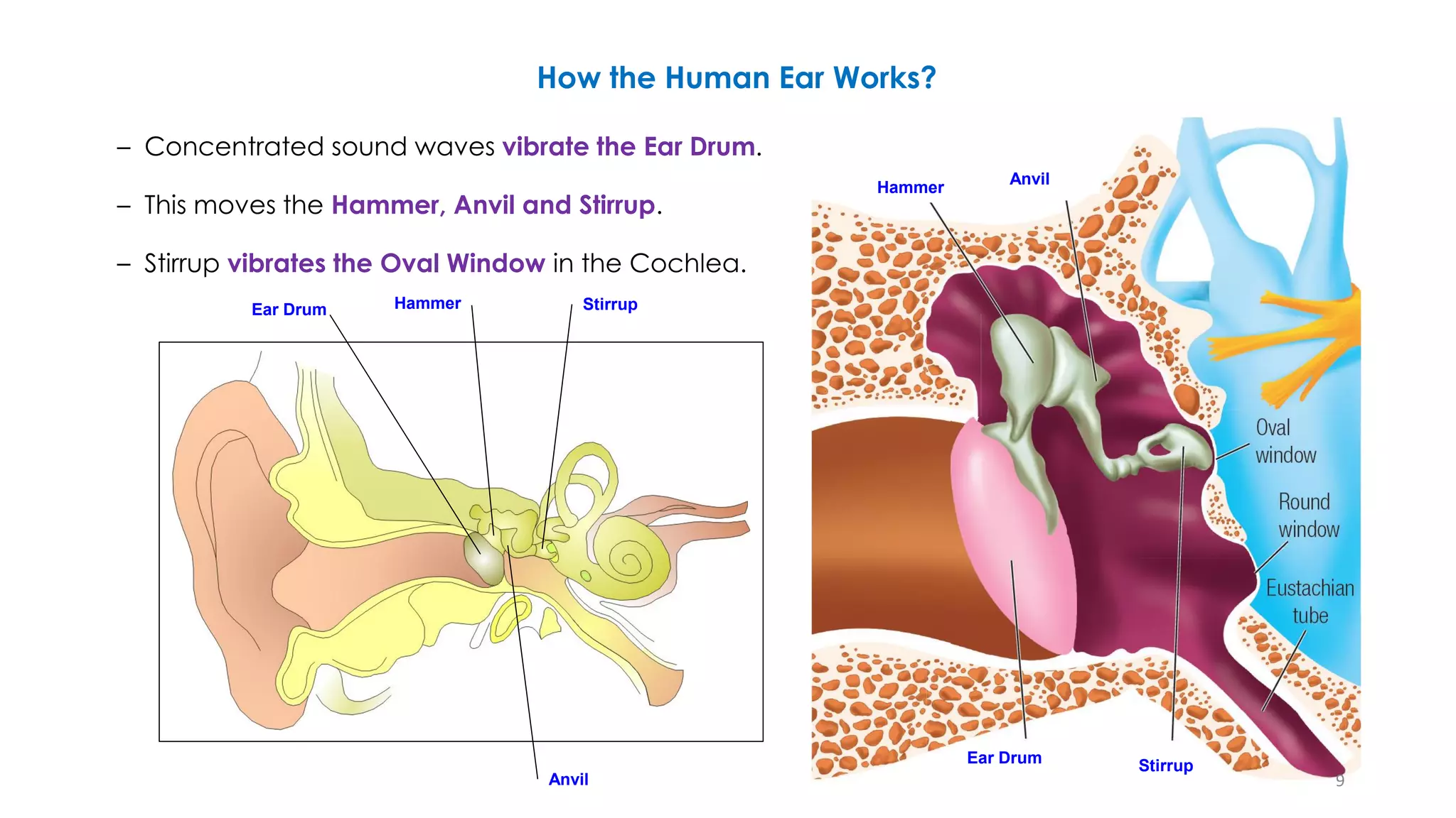 An Introduction to Audio Principles | PDF