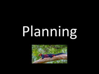 Planning
 