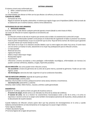 SISTEMA URINARIO
El sistema urinario esta conformado por:
     1. Riñón: unidad funcional la nefrona.
     2. Vía urinaria
Las enfermedades que afectan al riñón son los que afectan a la nefrona y la vía urinaria.
FUNCIÓN DEL RIÑÓN:
- Formación de orina.
- Regula el volumen de liquído y electrolitos: el sistema que regula el agua son el hipotálamo (ADH), riñón (a través de
     la reabsorción por el sistema tubular), sistema renina-aldosterona.

PATOLOGIAS EN LAS VIAS URINARIAS
     1. INFECCION URINARIA
Es la más común. Puede afectar cualquier parte del aparato urinario (desde la uretra hasta el riñón).
Las causas de infección en nuestro organismo es la Echericha coli.
Factores
- La infección urinaria se da más en mujeres que varones esto se debe a la anatomía de la uretra de la mujer.
- En las mujeres embarazadas también se da porque en el desarrollo de la gestación el bebe va presionar las vísceras
     hasta la parte retroperitoneal, lo que no va permitir que la orina fluya de forma normal. De manera que la gestante
     no puede retener por mucho tiempo la orina.
- Otro factor en la mujer es la relacione sexuales debido a que la uretra-vagina-ano están muy cercas. El varón tiene
     una vía común y al realizar el coito, obviamente en la mujer hay predisposición para la infección urinaria.
- La ropa ajustada
- Retención de orina
- Ingesta de liquidos
- Edad ( a mayor edad mayor riesgo)
- Resequedad vaginal
- Incontinencia
- Infecciones urinarias secundarias y otras patologías: enfermedades neurológicas, enfermedades sist nervioso (no
     pueden controlar esfínteres), diabetes, cirugías, hipertrofia prostática

VÍA DE DIRECCIÓN: vías como pueden tener infección urinaria.
- Vía ascendente: arrastra los gérmenes de la uretra de la parte interna, asciende los gérmenes. Puede ser por mala
    higiene, sonda.
- Vía Hematogena: viene de otro lado el germen el cual ve condiciones favorables.

TIPO DE INFECCION URINARIA: depende de la parte que afecta
- Inf Urinaria baja: uretritis,cistitis.
Síntomas: disuria (ardor al orinar), polaquiuria (orinar varias veces), tenesmo e incontinencia.
- Inf Urinaria alta: pielonefritis y ureteritis
Síntomas: dolor lumbar, fiebre hectica , nauseas y vómitos cuadro generalizado

DIAGNÓSTICO:
Lo hacen en la clínica, aparte se tiene una gama de muestras como es:
- El examen de sangre, donde vamos a ver alteradas las cifras de las células de la defensa.
- El examen de orina, nos va a mostrar las características macroscópicas (color y olor de la orina, si la orina es
    espumosa o no) de la orina en la sangre como también microscópicas (presencia de leucocitos, células producto de
    la descamación de la parte tubular).

Cuando hablamos de infección urinaria quiere decir que hay presencia de microorganismos en la orina y cuando
hablamos de bacteridermis se trata de bacterias en la sangre que no causan ningún síntoma.
Tomar algunas medidas:
1º Beber abundante líquido.
2º Correcta higiene de la región del perímetro.
 