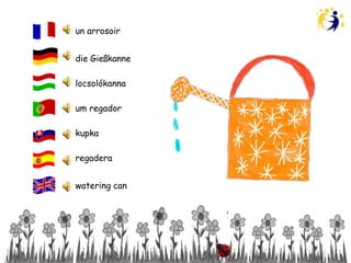 un arrosoir


die Gießkanne

locsolókanna

um regador

kupka

regadera


watering can
 