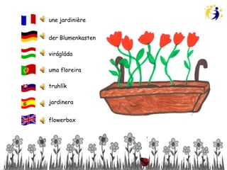 une jardinière


der Blumenkasten

virágláda

uma floreira

truhlík

jardinera


flowerbox
 