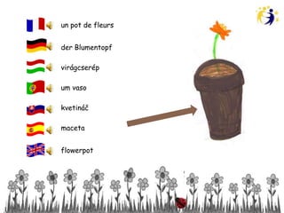 un pot de fleurs


der Blumentopf

virágcserép

um vaso

kvetináč

maceta


flowerpot
 