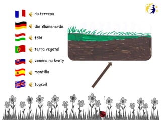 du terreau


die Blumenerde

föld

terra vegetal

zemina na kvety

mantillo


topsoil
 
