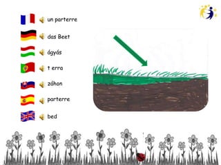 un parterre


das Beet

ágyás

t erra

záhon

parterre


bed
 