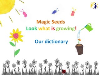 Magic Seeds
Look what is growing!

   Our dictionary
 