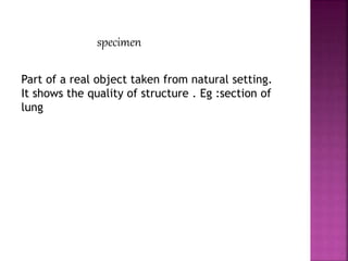 specimen
Part of a real object taken from natural setting.
It shows the quality of structure . Eg :section of
lung
 